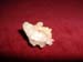 QUARTZ CRYSTA